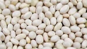 ये Lentils प्रोटीन से होती है भरपूर, डाइट में शामिल करने से मिलेंगे ये कई फायदे...