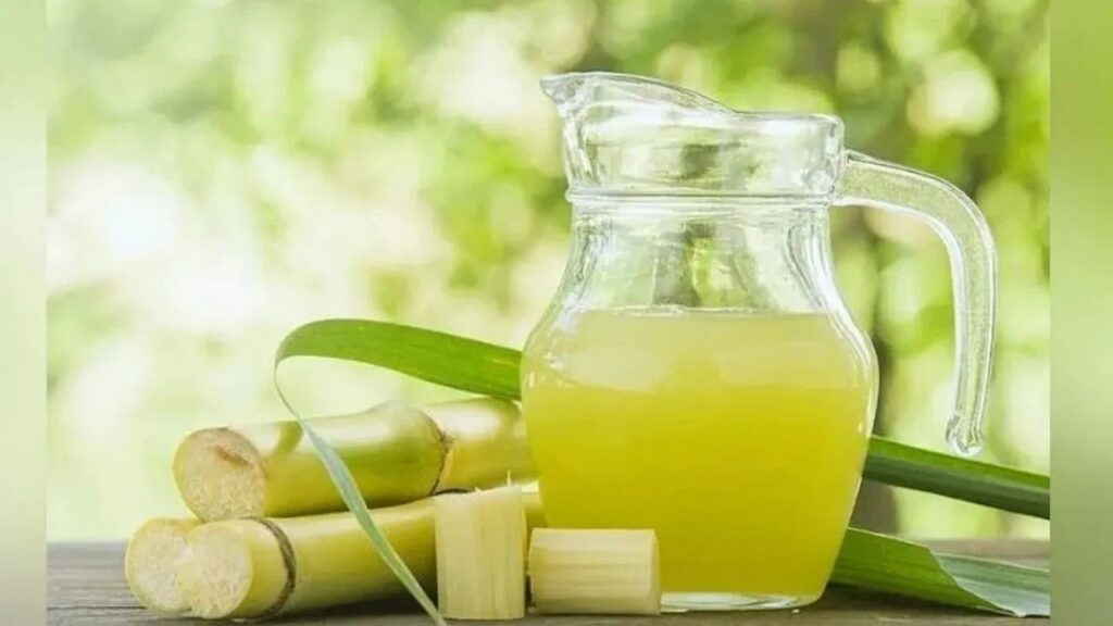 Sugarcane